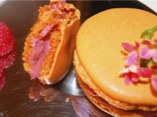  Macaroons prepared using annatto dye