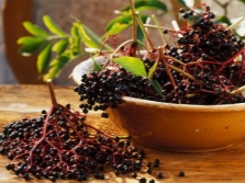  Elderberry fruits