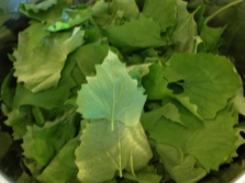  Garlic leaves for some dishes