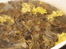  Broth with immortelle and other herbs