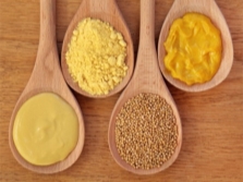  Mustard species