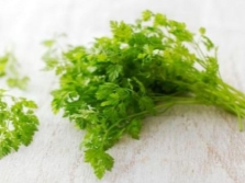  Young shoots of chervil