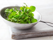  Watercress greens