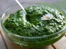  Wild Pesto