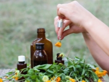  The use of calendula oil in medicine