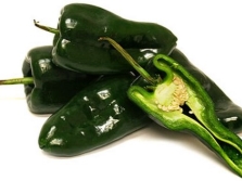  Chile Pepper Poblano