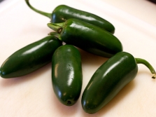  Chilli jalapeno bors