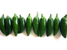  Jalapeno espinalteco