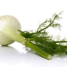  Seed fennel