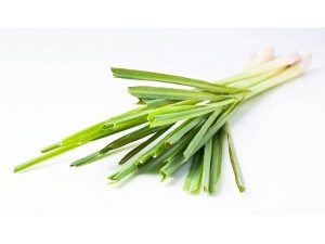  Citronella is a type of lemongrass