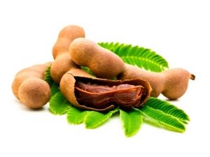  Tamarind