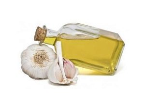  Garlic oil