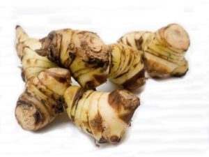  Galangal plant - otherwise Alpinia medicinal