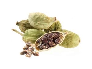  Cardamom