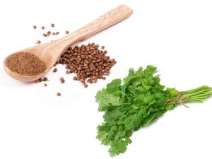  Coriander