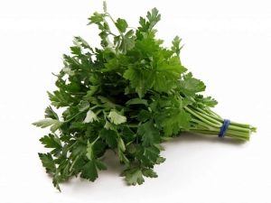  Parsley