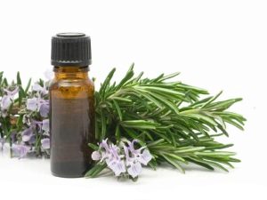  Rosemary oil