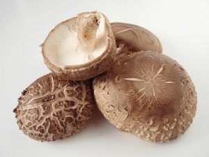  Shiitake gomba