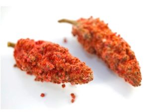  Sumac