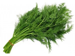  Dill