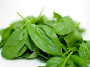  Spinach