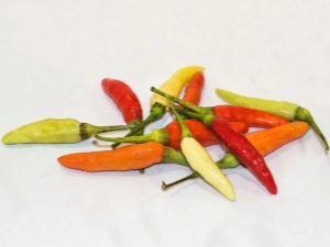  Tabasco Peppers