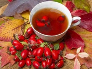  Rosehip: beneficial properties for men and women