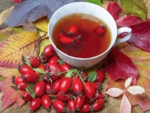  Bagaimana untuk membakar rosehip untuk diminum?