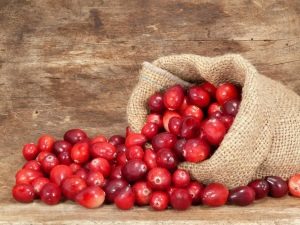  Cranberries for the kidneys: the pros and cons