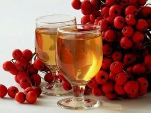  Secrets of cooking rowan wine