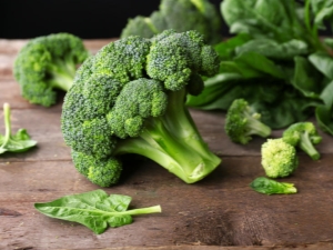  Broccoli: types, planting and care