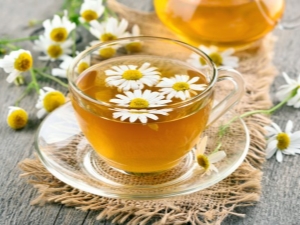  Chamomile tea: the benefits and harm, the rules of preparation and use