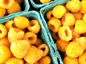  Yellow raspberry: varieties and characteristics of growing