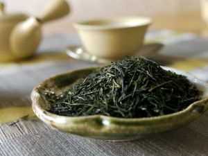  Sencha tea: the benefits and harm, cooking secrets