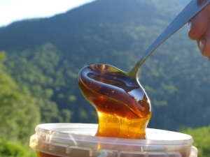  Mountain Honey: manufacturers and distinguishing properties of the product