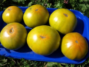  Characteristics and planting varieties of tomato Malachite Box