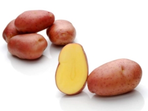  Arosa potatoes: features of the variety and subtleties of cultivation