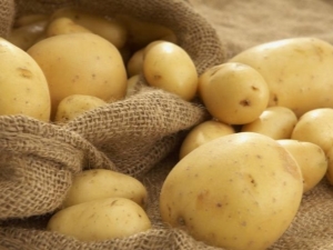  Lasok potato: description of the variety and subtleties of cultivation