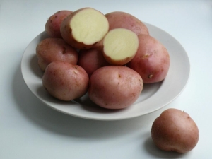  Romano Potatoes: variety description and cultivation rules