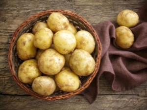  Potato Santa: caractéristiques et subtilités de la culture