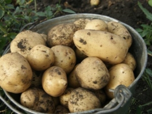  Caractéristiques de l'assistant de pomme de terre