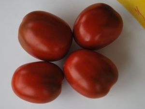  De Barao Tomatoes: Characteristics and Types