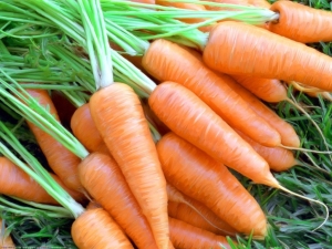  After what crops can you plant carrots?