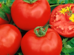  Tomato Katya: characteristics of the variety and the rules of cultivation