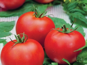  What are the features of tomato variety Polufast F1 and how to grow it?