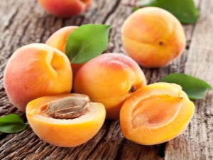  Apricot: good and harm, interesting recipes