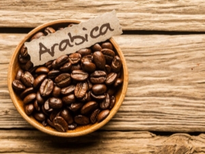  Arabica: jellemzők és tippek a választáshoz