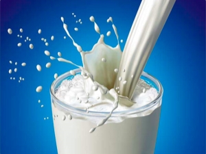  What milk contains: composition and nutritional value of the product