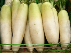 Daikon: korzyści i szkody, zwłaszcza użytkowanie