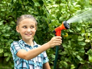  How to water the apple trees in the summer?